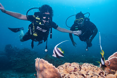 Pura Vida Diving thumb 3
